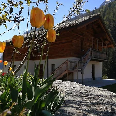 B&B Lorelei Gressoney-Saint-Jean Exterior foto
